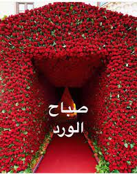 pin on صباح و مساء الخير