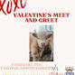 Valentine's Baby Highland Meet and Greet (Please event image