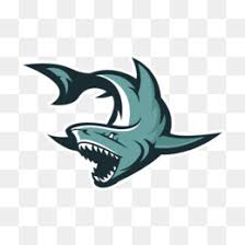 Racing free vectors stock photos psd. Shark Logo