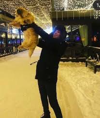 Pet boarding kennels in saint louis on yp.com. Khobar Best Pet Boarding Grooming For Dogs Cats With Pickup Petbacker Eastern Province
