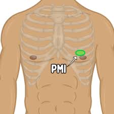 Image result for Point of Maximum Impulse