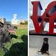 Guided Tour: Dog Day at the Pappajohn Sculpture Park