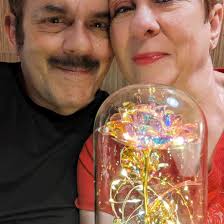 View from the SkyStar Wheel