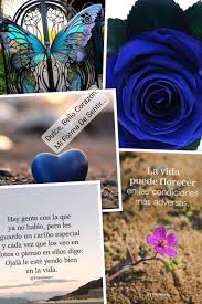 Dulce, Bello corazón: Mi Forma De Sentir.