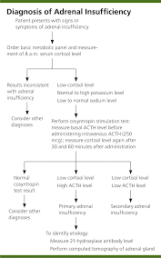 Addison Disease Early Detection And Treatment Principles