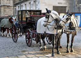Maybe you would like to learn more about one of these? Vienna Profile Key Events And Facts About Vienna Austria Insight Guides