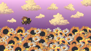 Us 7 us 9 width. Tyler The Creator Computer Hd Wallpapers Wallpaper Cave