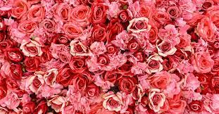 Check spelling or type a new query. How 1 800 Flowers Com Became A Valentine S Day Gift Mainstay Vox