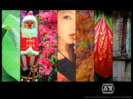 嗜好| LEO GRAPHIC TOY