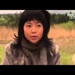 武当 01 元末明初乱世之始 焦恩俊 严屹宽 李若彤主演 Drama Movies Movies Film