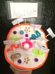 Rough er in a animal cell. Pin By Azdehar Al On Animal Cell Project Plant Cell Project Animal Cell Project Cells Project