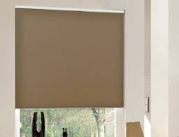 Take a peek at our window shades. Roller Shades Roller Blinds Roll Up Shades Retractable Shades
