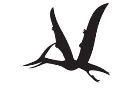 Download Dinosaur Silhouette Pteranodon Svg Cut Files Free 53780 Images Design File For T Shirt Svg SVG Cut Files