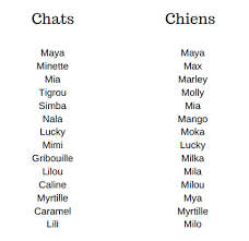Sélectionnez une lettre pour trouver un nom de chaton idéal pour votre minou. 5 Conseils Pour Choisir Le Prenom De Son Animal