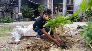 ชาวเช ยงใหม ฮ ตส งคำท าปล กต นไม ร วมภารก จ ม อเย นเม องเย น ท วเม อง เย น เม อง