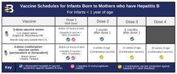 Check spelling or type a new query. Hepatitis B Foundation Hepatitis B Vaccine Schedules