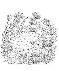 The coloring pages can be free printable with white and black pictures, drawings. A Hedgehog Coloring Page Free Printable Coloring Pages For Kids