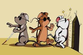 Three Blind Mice? Brain Implant Aids ...