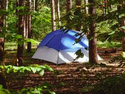 Keep your campsite cool if you're camping in the heat, you should choose a campsite where trees are abundant to keep you & your gear (tent included) cooler throughout the day. How To Cool A Tent Without Electricity 13 Smart Ways Travelers Door