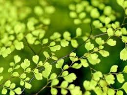 Pentru a răspunde la o întrebare trebuie să ai cont pe tpu.ro. Cum Este Corect AÅ£i Sau A Å£i Spus Cantat Scris Vorbit Etc DeÈ™tepÈ›i Ro