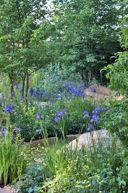 Rhs Chelsea Flower Show 2014 The Homebase Garden By Adam Frost In 2020 Chelsea Flower Show Garden Design Garden Show