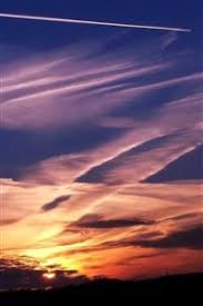 We have 20 images about cutest wallpapers for iphone such as images, images pictures wallpapers, and more. Best Orange Iphone 4s Wallpapers Free Hd