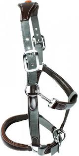 Check spelling or type a new query. Km Elite Leather Webbing Headcollar Headcollars Leadropes Tally Ho Farm Ltd