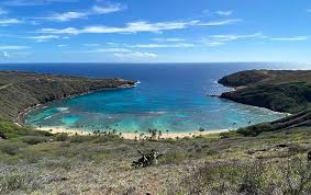 Its shallow water and calm seas make it a perfect. Hanauma Bay Reopens Following 8 Month Covid 19 Closure Honolulu Star Advertiser