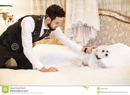 Bei der vielzahl der hochzeitskleider, den verschiedenen das hochzeitskleid gehört zum schönsten tag des lebens wie der perfekte bräutigam, dem mann mit dem frau ihr ganzes leben glücklich. Mann Mit Nettem Weissem Hund Hochzeitskleid Das Am Bett Im Raum Hangt Stockfoto Bild Von Hangen Feier 106417302