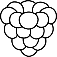 2.draw the stem and leaves at the top, and draw a line on each leaf. Raspberry Icons Download Free Vector Icons Noun Project