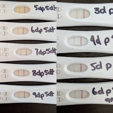 6 Days Post Fet Opinions On A True Bfp Babycenter