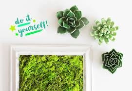 Diy Moosbild Selber Machen Als Wanddeko Diy Blog Aus Koln Diy Bloggerin