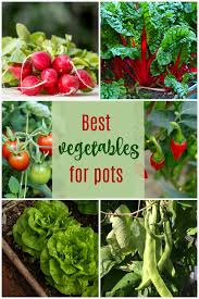 Choose the best plant food to give your indoor and outdoor greenery the nutrients needed to grow healthier, larger, and fuller. Vegetable Garden On A Deck Tips For Growing Vegetables On A Patio