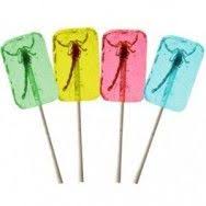Insectes Sucres Friandises D Insectes Comestibles Gourmet Chocolate Bon Bons Haribo