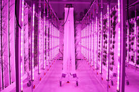 Zipgrow Indoor Vertical Farm Previously Used 40 Discount Refarmshop