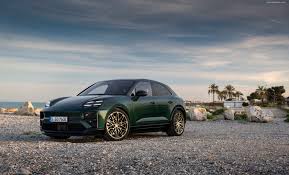 Image result for Verde British Racing Green 2025 Porsche
