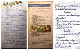  comportamentul ilicit al antreprenorului. Patinuarul Care A Infierbantat Internetul Cine Are Dreptate PÄƒrintele Sau InvÄƒÈ›Äƒtorul