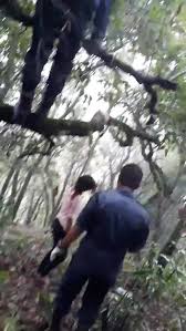 Crazy (girl) — hanging from the rafters. Removing A Girl That Hanged Herself From A Tree Branch