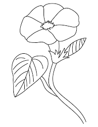 Open Morning Glory Coloring Page Coloring Pages Free Coloring Pages Color