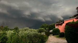 Alberi a terra e viabilità interrotta. Maltempo Notizie Su Trevisotoday