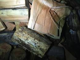 Give us a call at 360 696. Vancouver Wa Lumberjills