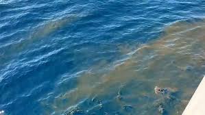 On 21 april 2021, nanggala went missing during a torpedo drill in the waters north of bali. Mbpwzttdxxn3rm