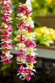 It S A Colorful Life Pink And Yellow Leis Photography By Dana Flower Garlands Flower Garland Wedding Flower Garland Diy
