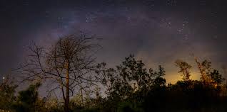 Universo cielo nocturno fondo cielo oscuro con brillantes estrellas vector. Arbol De Papel Tapiz Ramas Noche Estrellas Cielo Estrellado Hd Pantalla Ancha Alta Definicion Pantalla Completa