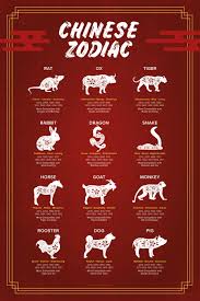 Chinese Zodiac Signs Poster Find Out About Your Sign In 2020 Chinese Zodiac Signs Chinese Zodiac Chinese Zodiac Rat