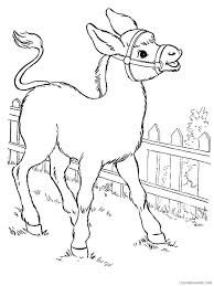 More than 45,000+ images, pictures, and coloring sheets clearly arranged in categories. Donkey Coloring Pages Animal Printable Sheets Donkey 9 2021 1696 Coloring4free Coloring4free Com