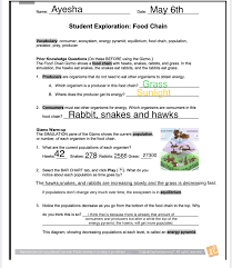 Use protons, neutrons, and electrons to build elements. Food Chain Worksheet With Gizmos Bulb