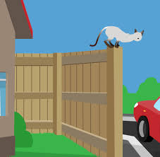 The oscillot® system is designed to counteract. Cat Proof Fence Installation Pack Timber Fences 25m Smartcats Stayhome