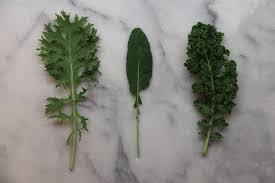 Cool weather brings out the sweet, nutty flavor of this highly nutritious leafy green. Growing Kale Indoors A Gardener S Guide To Growing Indoor Greens Home For The Harvest