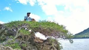 Jangan lelah bekerja di ladangnya tuhan roh kudus yang b'ri kekuatan yang mengajar dan menopang. Liburan Ke Selayar Jangan Lupa Kunjungi Pantai Babaere Snorkeling Jadi Aktifitas Favorit Tribun Palu